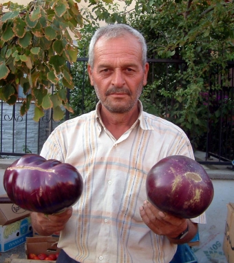 1 buçuk kiloluk patlıcanlar üretti
