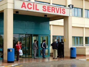 Antalya da domuz gribi paniği 1