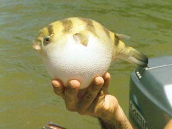 24 saatte yaşanan en &ccedil;arpıcı olaylar 9