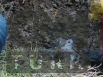 Cephanelikten ilk g&ouml;r&uuml;nt&uuml;ler 2