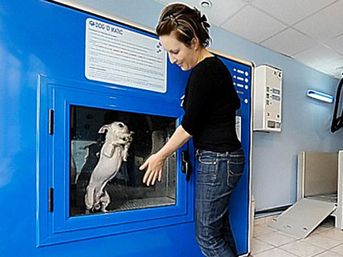 Ve karşınızda  k&ouml;pek-matik  2