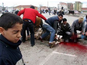 Kurban keserken kurban oldular!