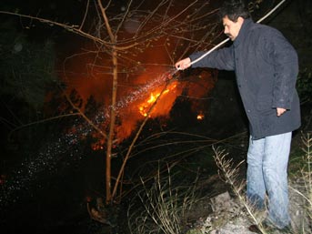 Orman yangını evlere ulaştı 3