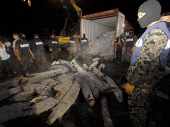 Şeytanın bile aklına gelmez 1