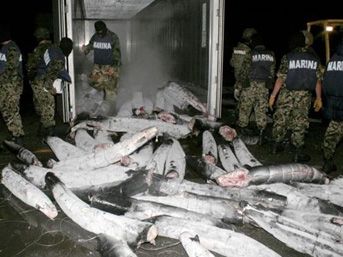 Şeytanın bile aklına gelmez 2