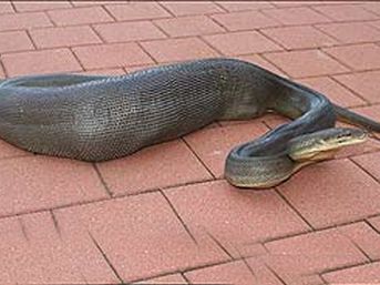 24 saatte neler yaşandı? 15